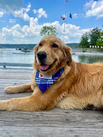 Flannel Dog Bandana